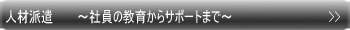 �l�ޔh��